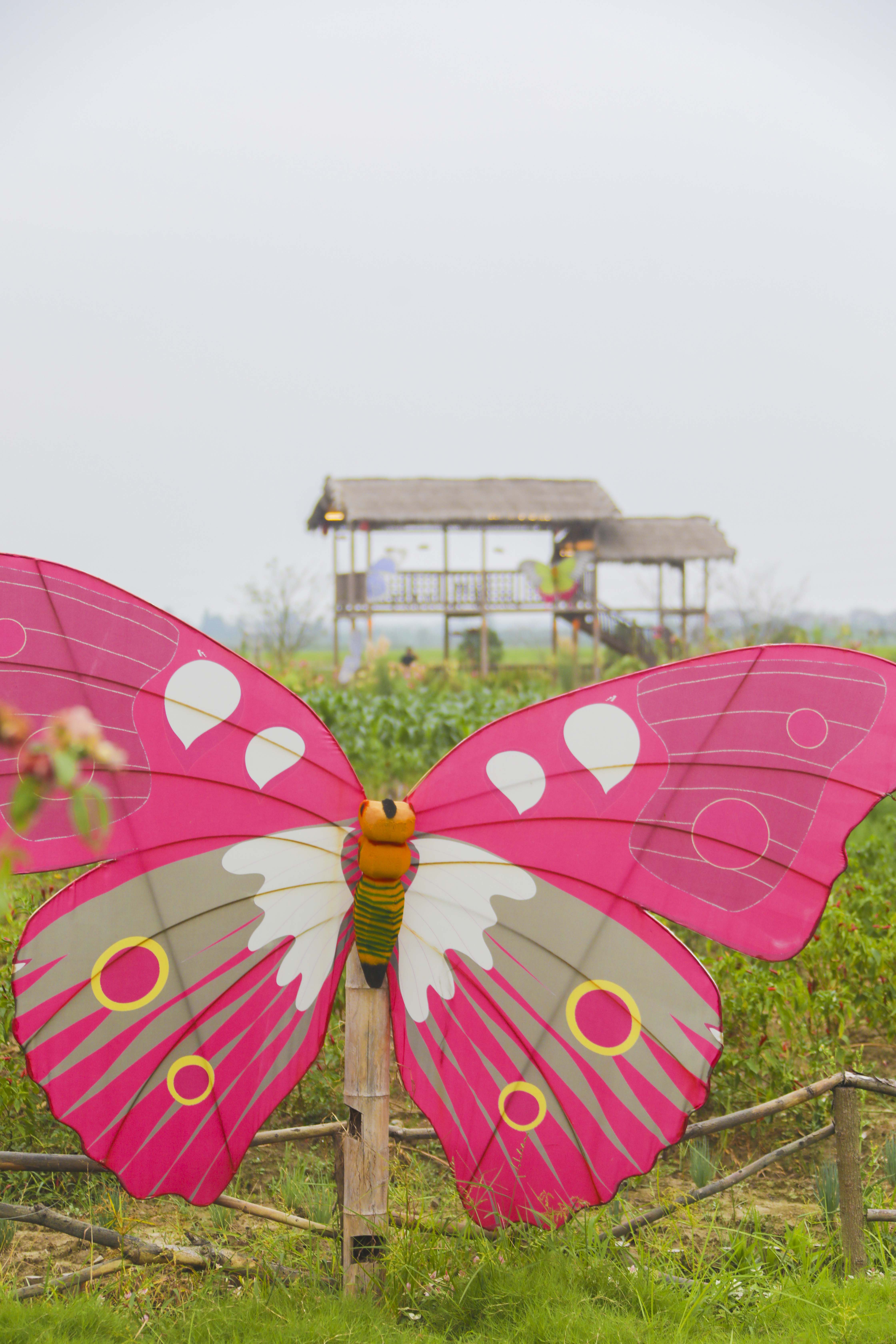 良田沃野蝶飞蜂拥，溧阳网红庆丰村的C位出道之路，果然迷人诱人