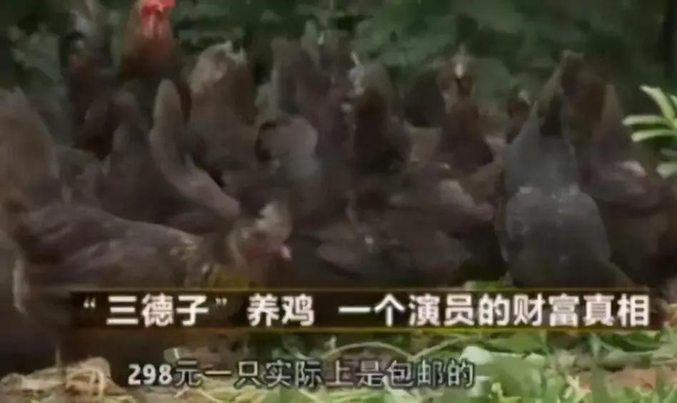 三德子带领乡亲致富,三德子靠养鸡赚上亿