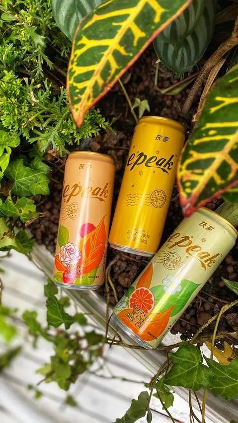 冰峰的前世今生,冰峰的历史故事