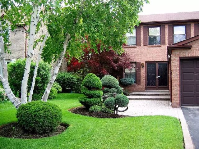 农村草坪花园设计实景图,花园草坪布局