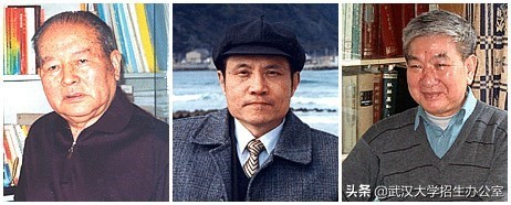 武汉大学历年排名,武汉大学一举斩获两项冠军