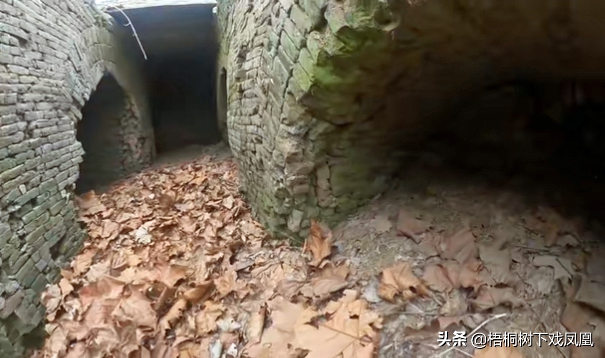 一个盗墓者的自述解说,一位盗墓者的自述实体书