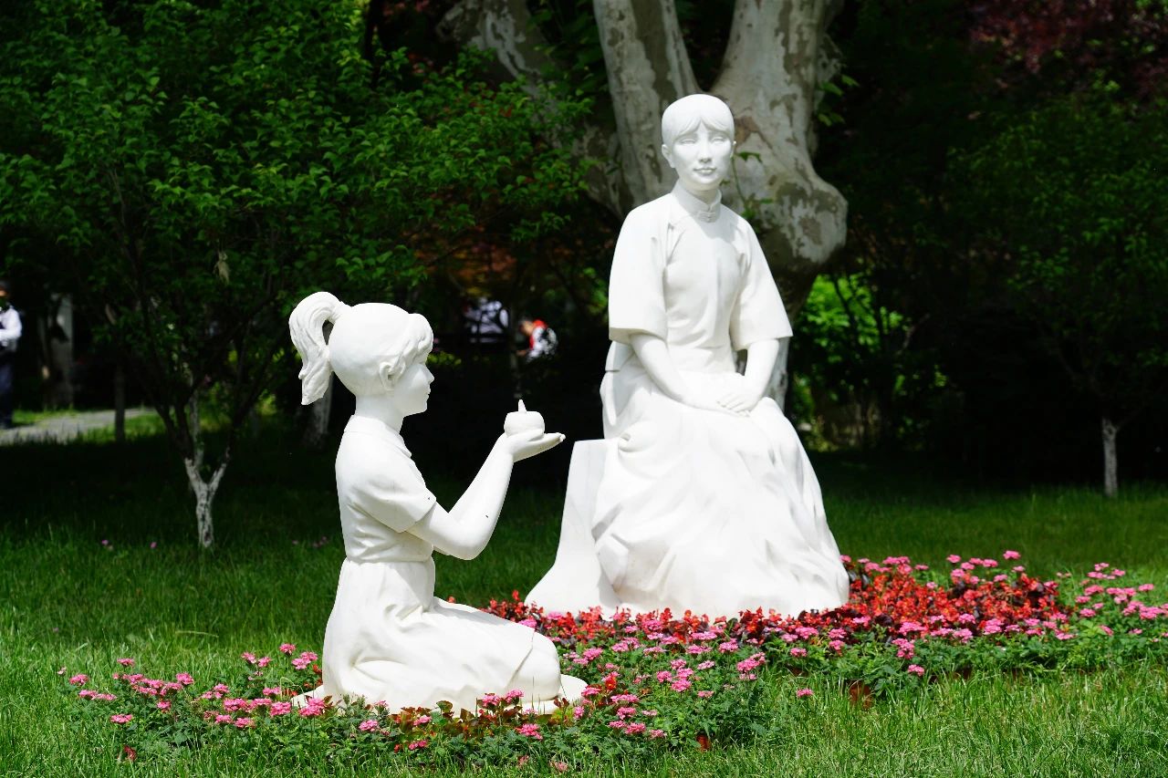 南京十所顶尖名校,南京这所新校为何底气十足