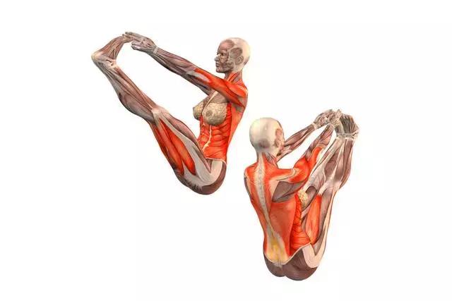 最快收腹的方法,最有效果的收腹动作