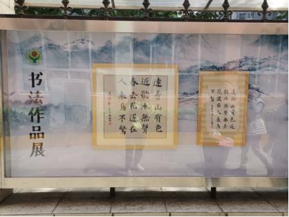 小学学校开放日活动美篇,24年创新实验小学开放日