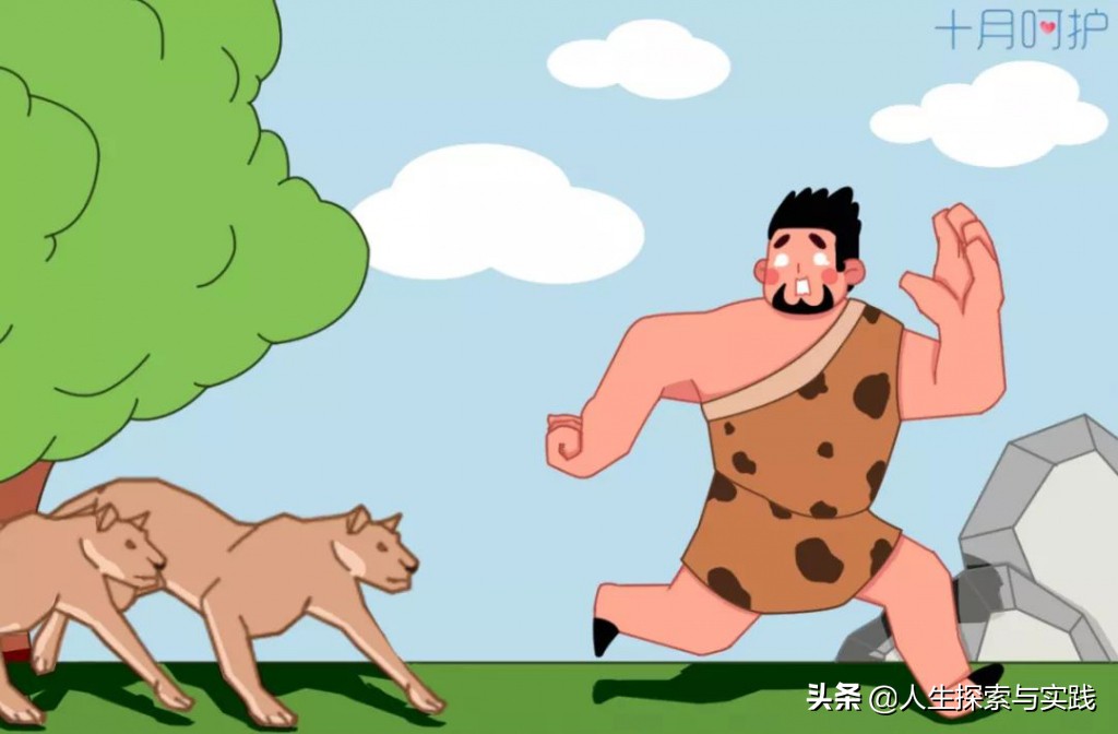 反进化论,足球的进化