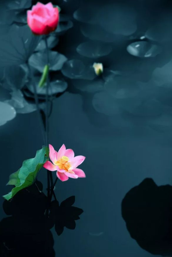 古诗词里纳凉,诗词夏季乘凉