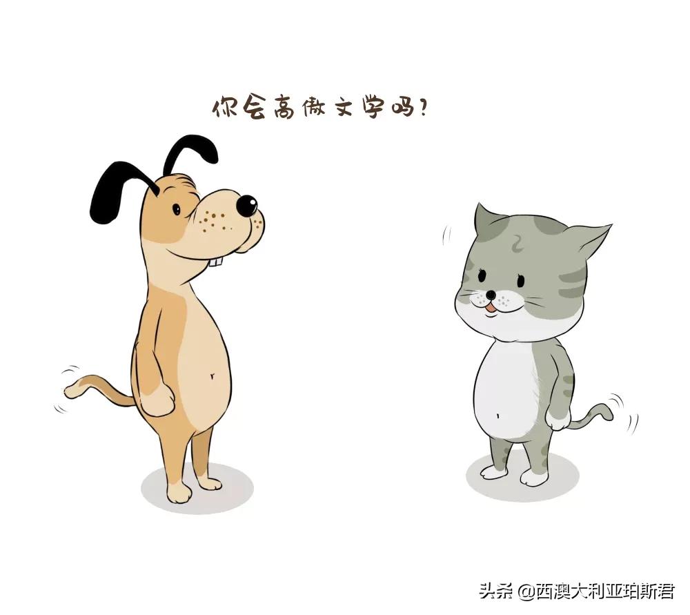 这个梗火爆全网？既然提到privilege，那就说说西澳人的高傲在哪