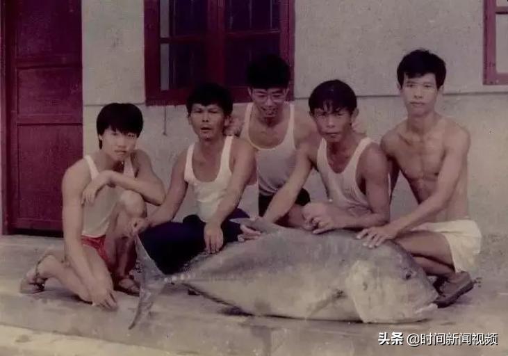 三沙守岛,亲历三沙的真实故事