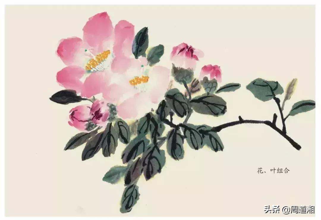 国画花卉大全教程视频,花卉小品国画图片大全