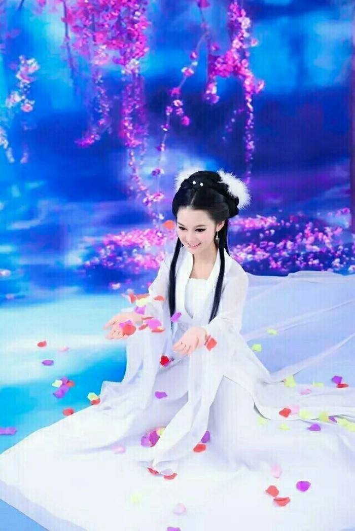 野草诗社全集视频,野草诗社简介