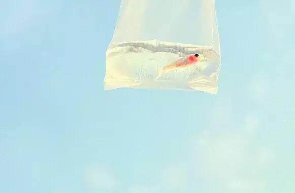 算命的说我无偏财运,命里真的没有偏财运