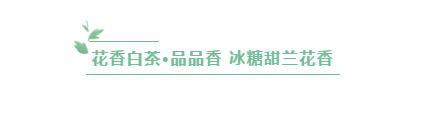 冰糖甜香老白茶,冰糖白茶兰花香