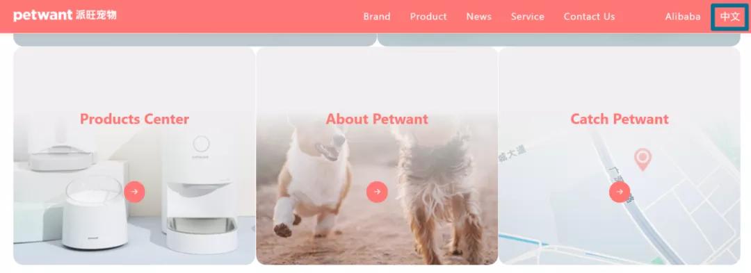 我花费2个月调研了64个出海宠物品牌（下）