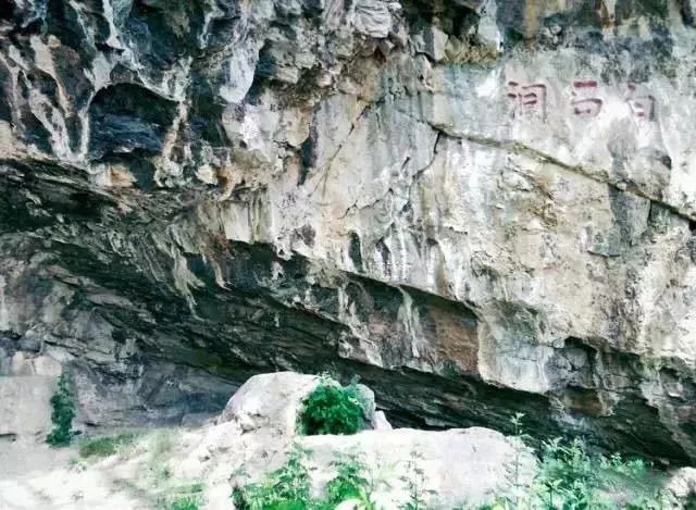 博山区年审,博山年审