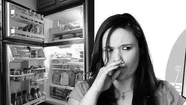 杀菌除味保鲜棒,德国冰箱保鲜除味棒