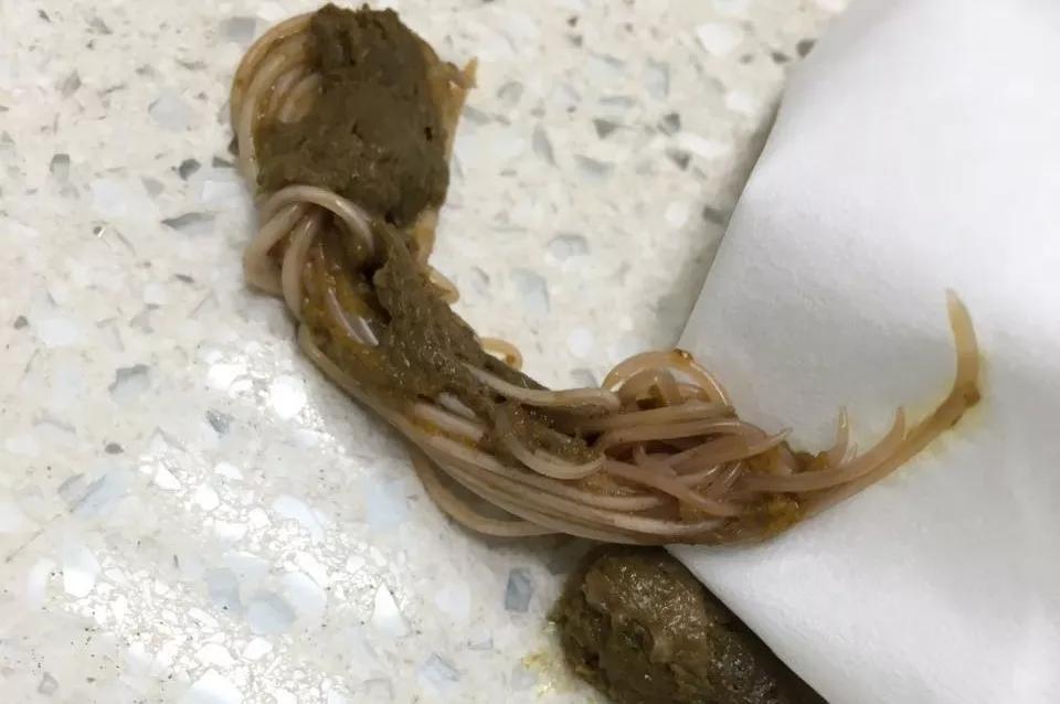 狗子偷偷亲我的第N次,难道不是真爱吗?