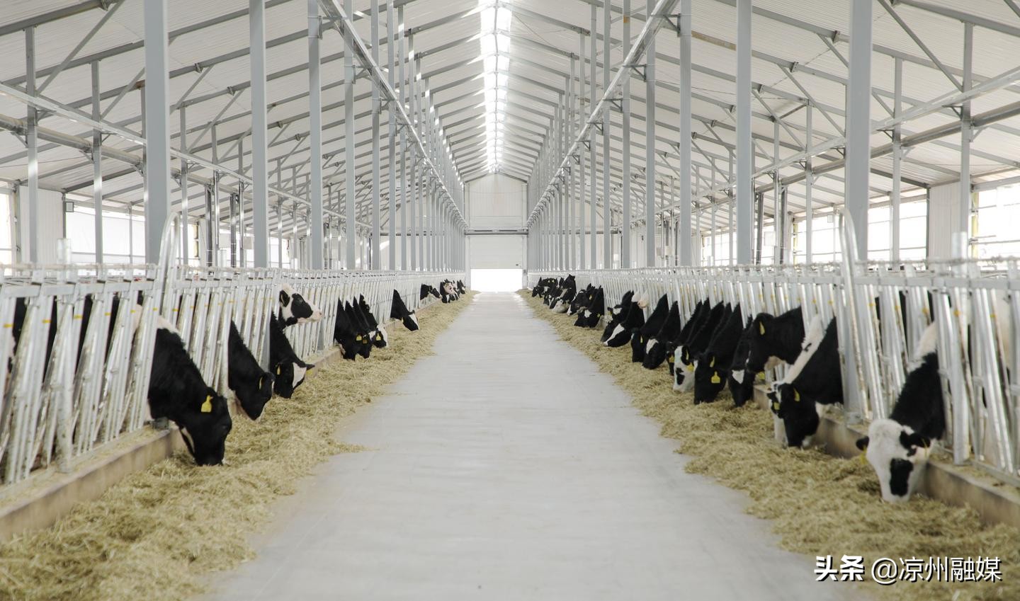 汇聚磅礴力量彰显使命担当——奋力开创凉州经济社会高质量发展新局面