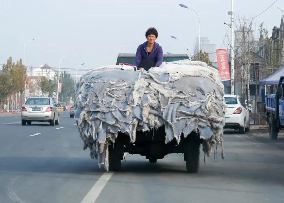 一群吃不饱肚子的中国农民,凭啥消化澳洲八成的羊皮?