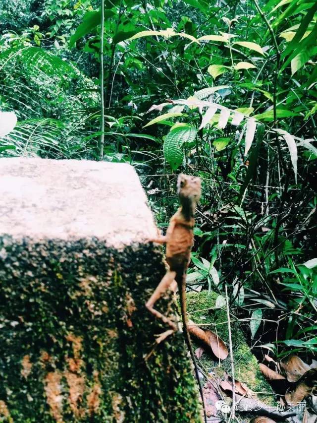 记录了在斯里兰卡美好的回忆,斯里兰卡之旅留下的美好回忆