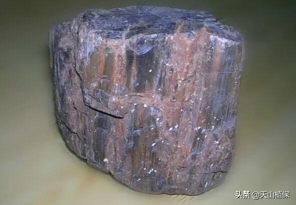 怎么捡到价值极高的石头,捡到一块石头价值千万