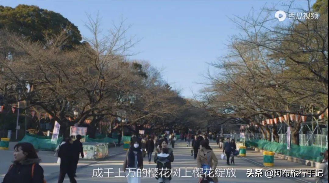 豆瓣9.1分看哭百万人,豆瓣评分9.0却很少有人看懂