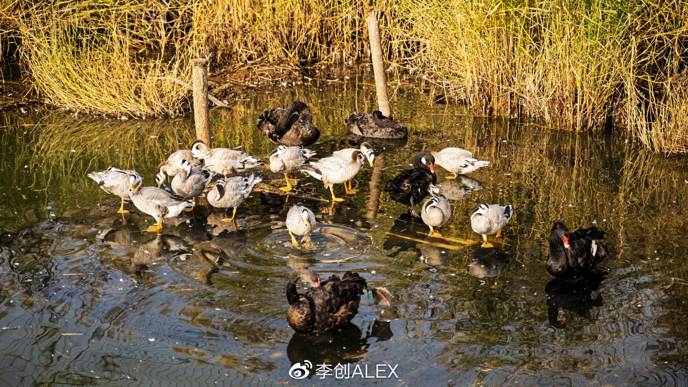 来宁夏玩的攻略,从宁夏去内蒙怎么玩