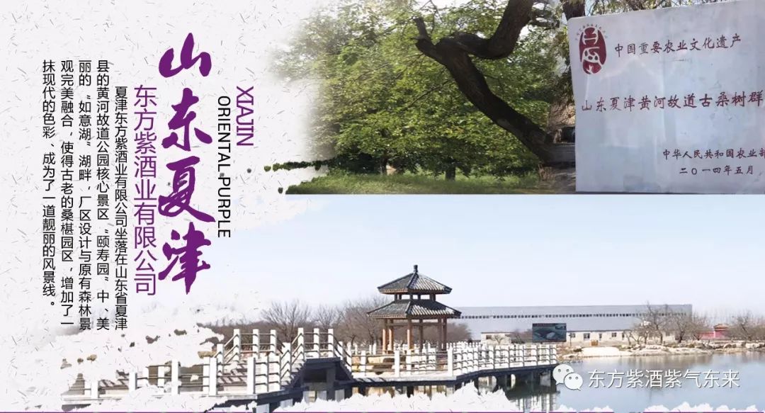 传承桑氏家族文化,传承传统文化彰显蚕桑魅力美篇