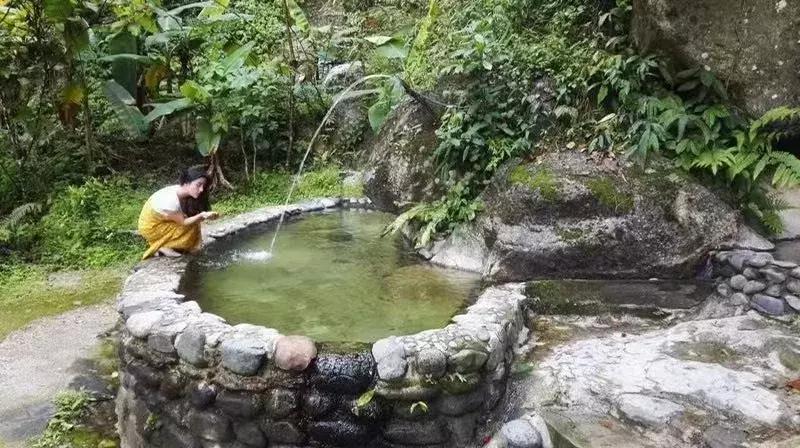 腾冲樱花谷景区,腾冲樱花谷