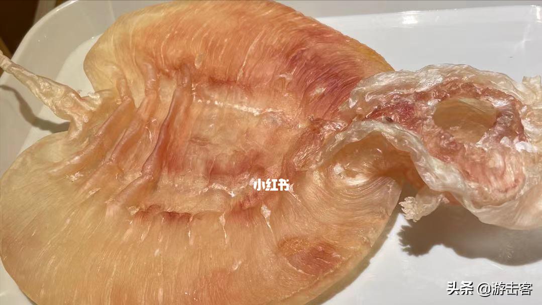 新西兰白鱼胶跟原色鱼胶,鱼胶鲜货批发网