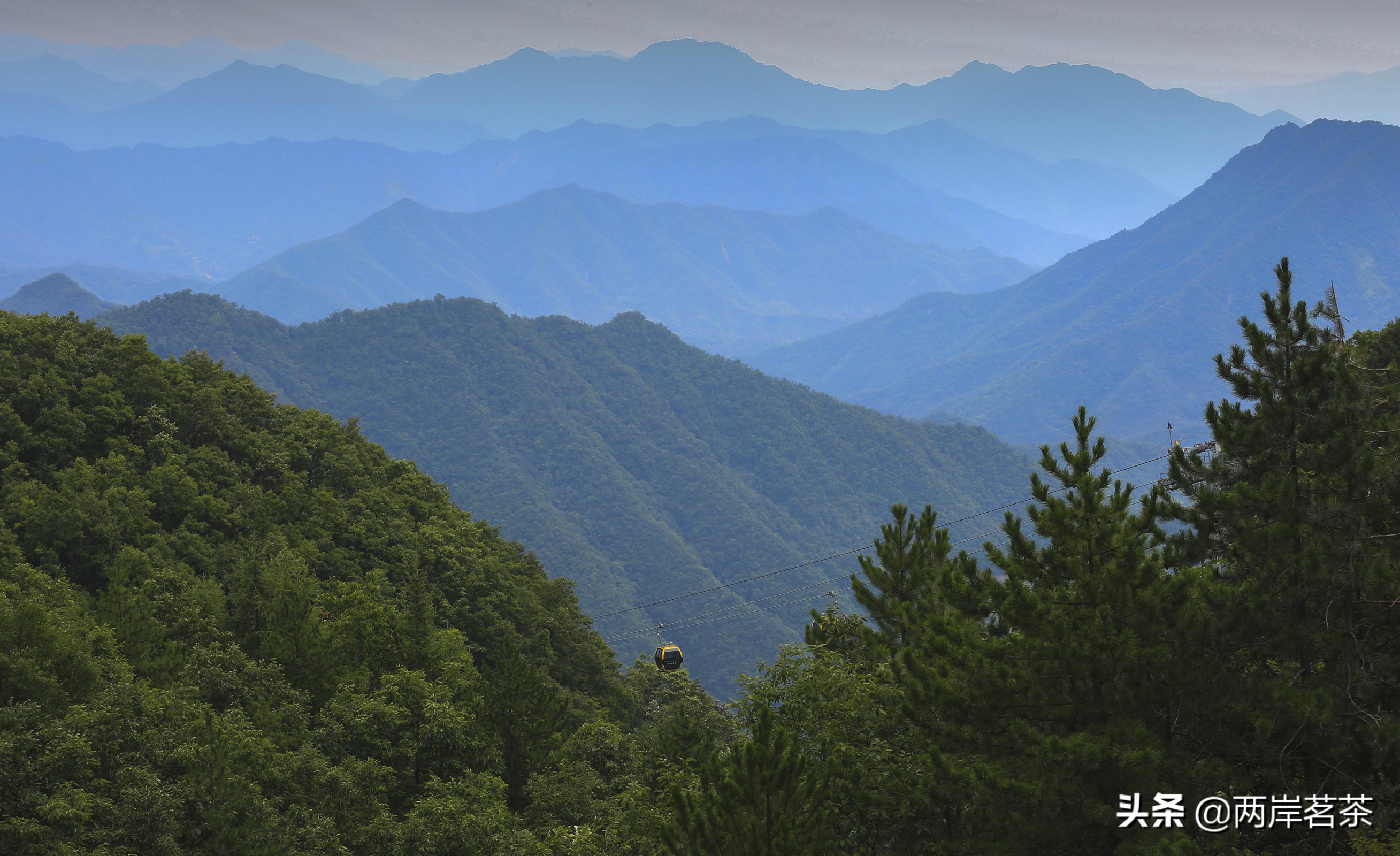 再看白云山,看山不是山,它是一本百读不厌的百科全书