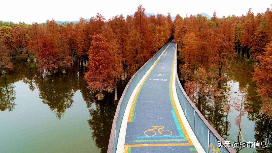 杭州最具幸福感的城市临安,杭州临安宜居吗