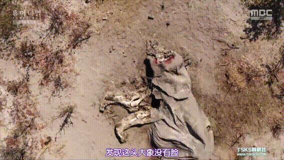 富二代晒骨皮包的残忍真相,人骨皮包的真相