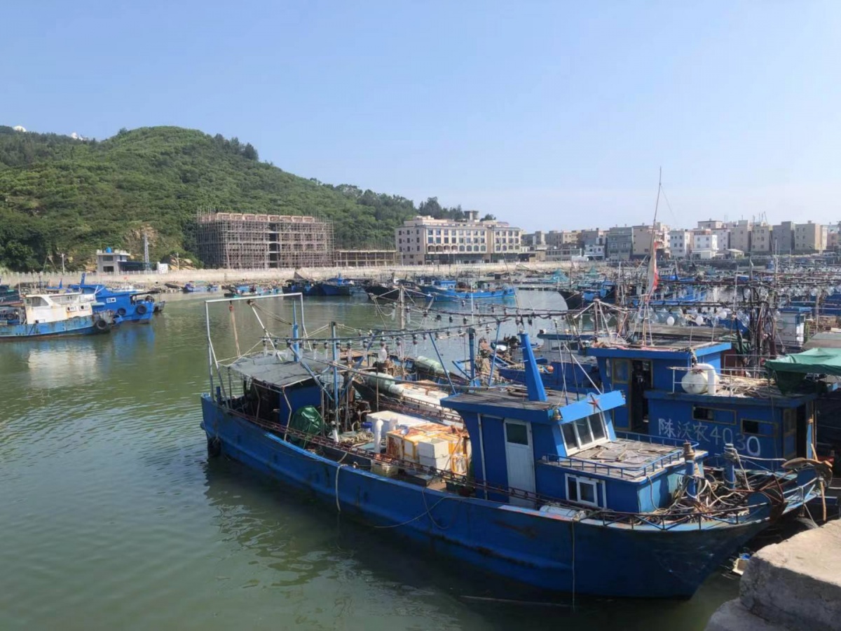 渔家女揭露海鲜市场黑幕,渔家女海鲜视频