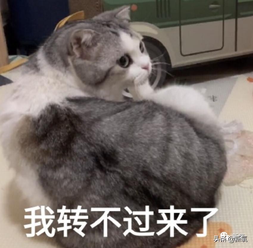 杨超越还能撑多久,杨超越遇到的真实事件