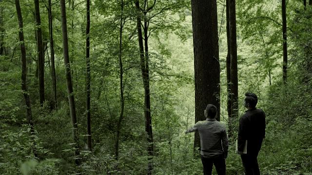 武大师兄弟复活湘西秘境，1块钱就能入股