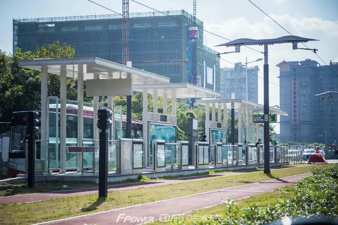 从蓉2来|天天看见“叮叮猫”跑来跑去的,它到底在忙什么啊?