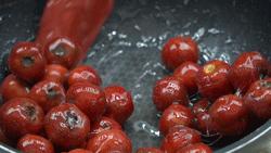 糖雪球的正确挂霜方法可以放几天,商用糖雪球的正确挂霜方法