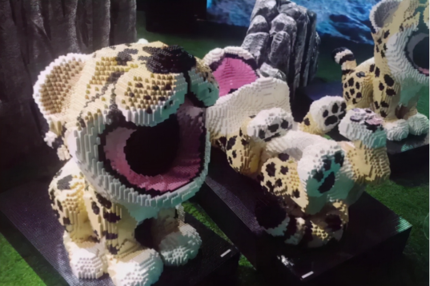 足球合同中的特殊条款,足球合同中的霸王条款