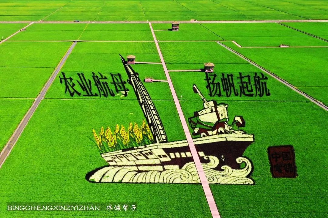 再返富锦，为着那份飘着稻花香的“湿”意约定