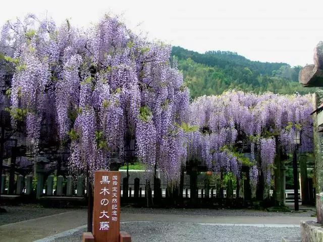 日本九州7天旅游攻略推荐,日本九州的旅游景点