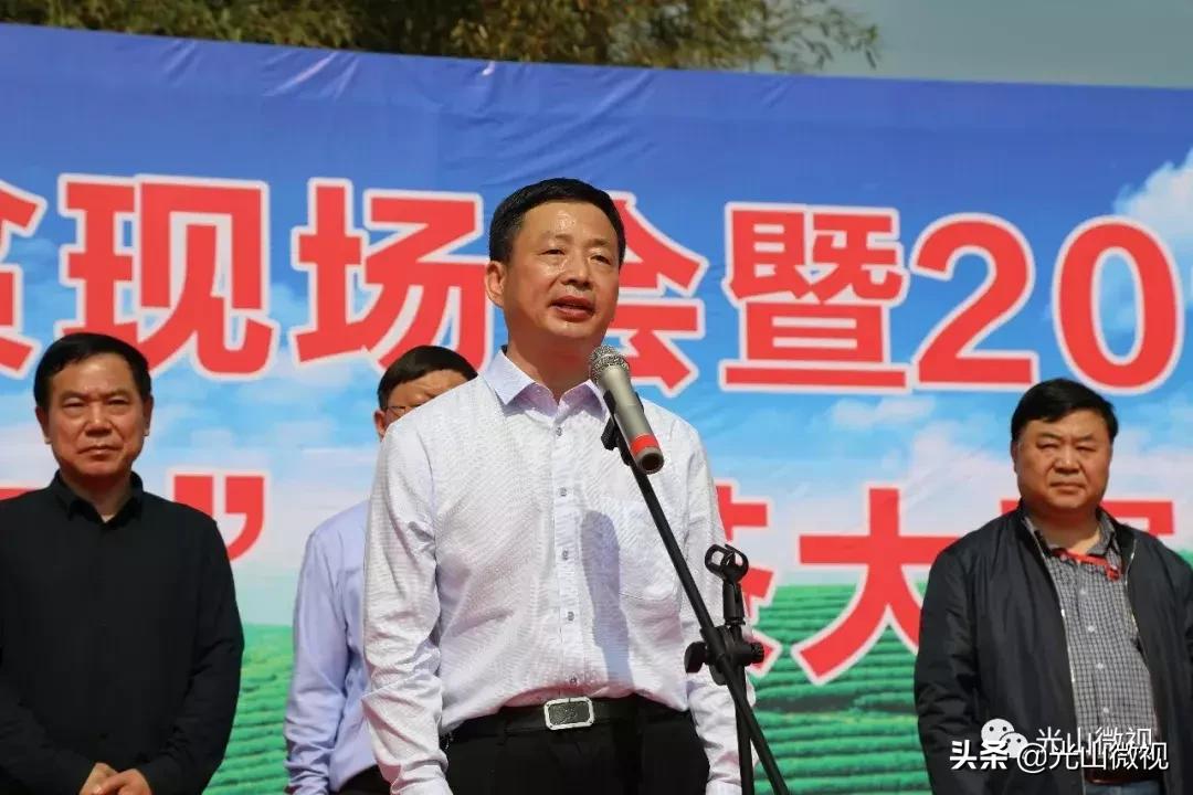 光山斗茶大赛完整版,信阳斗茶大赛获奖