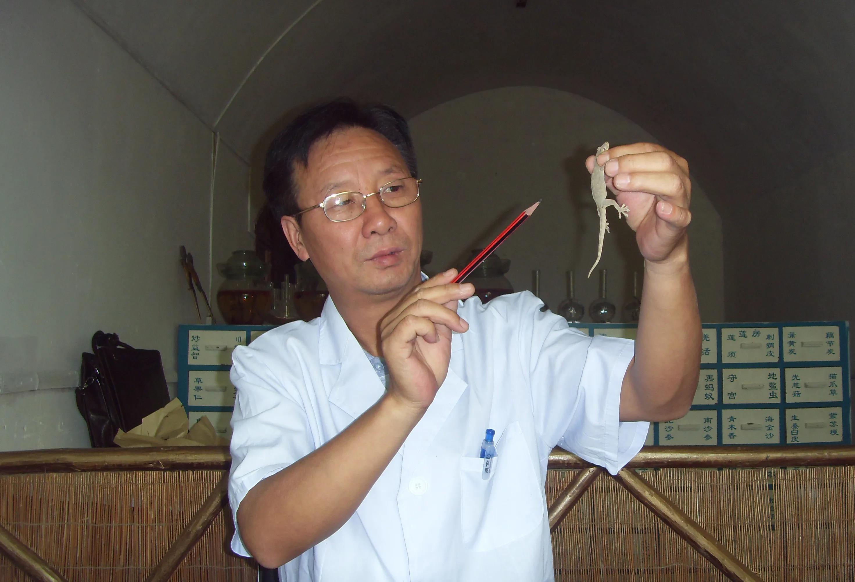 黑水虻成虫怎么养殖孵化,黑水虻养殖虫蛹孵化管理