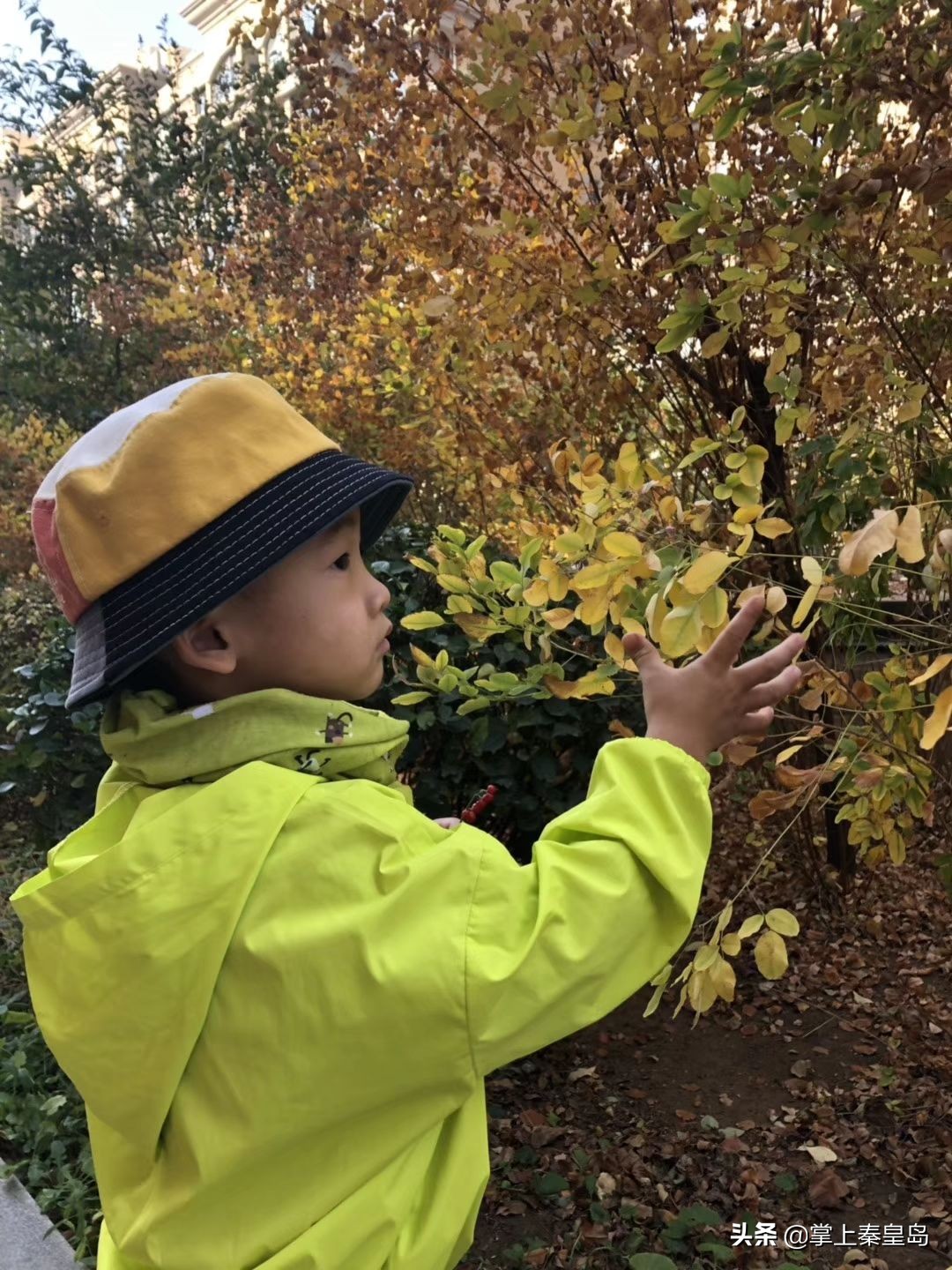 北漂夫妻辞职到北戴河开民宿，冬歇开“海货铺子”养大儿子