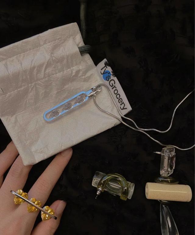 首饰施华洛世奇天鹅项链 (施华洛世奇天鹅项链选哪款)