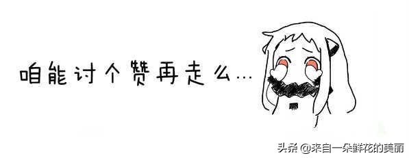 你肯定不知道的苹果平板小技巧,你不知道的输入法小秘密