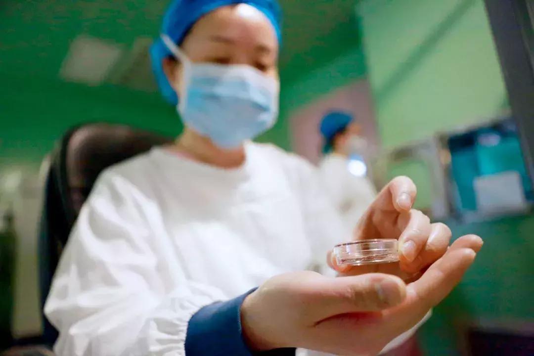 正常人做试管婴儿很辛苦吗,父母做试管婴儿好吗