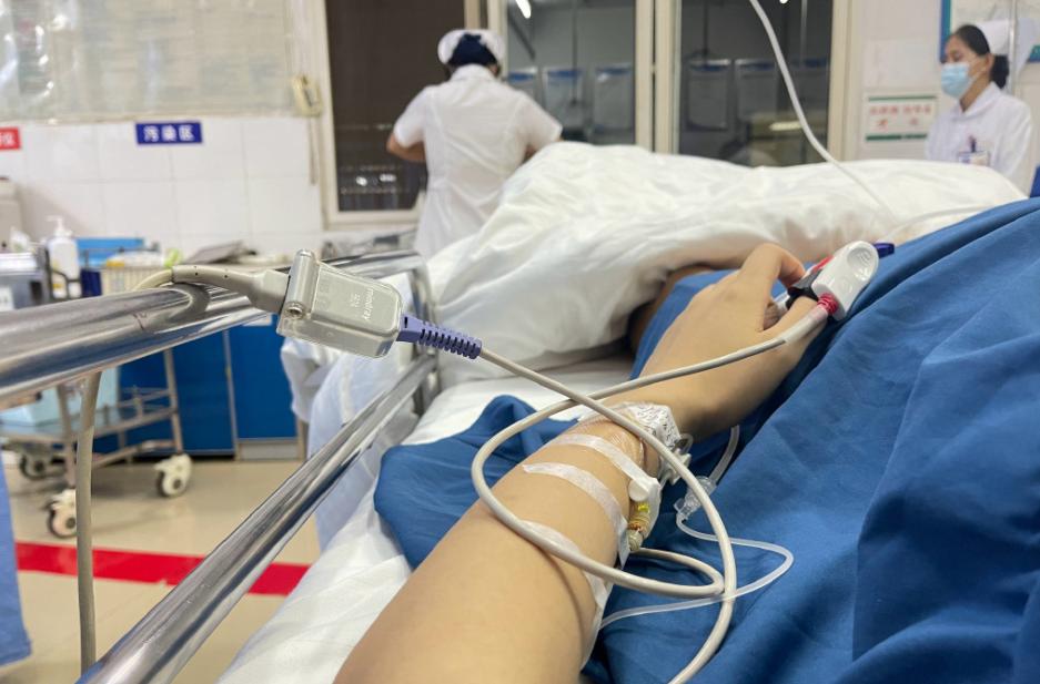 siri金毛狗托运事件,siri金毛狗狗托运事件