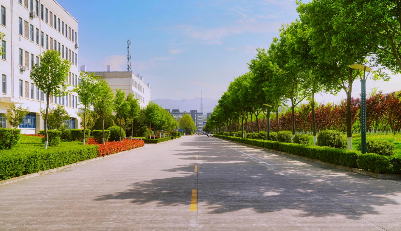 专科类最好的师范院校,低分就业最好的师范大学