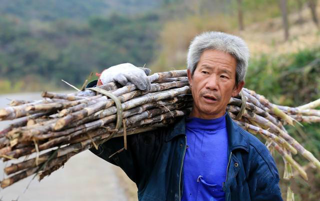 农民的土地被拆迁了怎么办,农民土地被收回怎么办